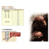 Onishi Kogyo Shiitake Mushroom Cone, Ultra High Speed Cone, NO.35,