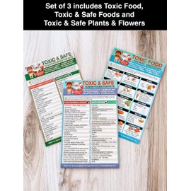 Set of 3 Magnetic List Toxic Safe Harmful Foods and Plants Flowers for Pets - Dog Cat Information Chart - Decorative Magnets - Pet Safety - Pet Adoption Essentials Gift 5.5 x 8.5 inches