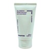 이니스프리 블루베리 리밸런싱 5.5 클렌저 100ml / 1개 x2SET (AD) Innisfree Blueberry Rebalancing 5.5 Cleanser 100ml / 2 SET (1 each)
