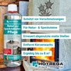 HOTREGA Natural Soapstone Oven Care 500 ml Soapstone Protection +