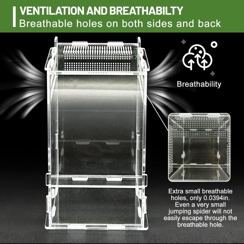 Jumping Spider Enclosure,Insects Habitat,Small Reptile Terrarium Glass House,for Spiders,Tarantulas,Snail,Mantis,Lizard and