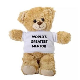 SpreadPassion World's Greatest Mentor Teddy Bear, Gift Stuffed Animal