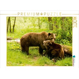 Premium Textile Canvas 45 x 30 cm Bear Meeting at the Pairing Time
