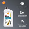 Shell Rotella T4 Triple Protection 15W-40 Diesel Engine Oil, 1