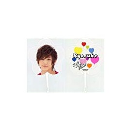 Mini Fan ★ Ryosuke Yamada "SUMMARY 2011"
