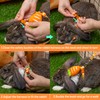 ORZECHKO Rabbit Harness and Leash - Adjustable Bunny Harness Escape