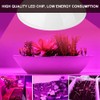 290LED Single Head LED Plant Light Bulb Greenhouse Garden Indoor