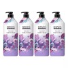 Kerashis 케라시스 퍼퓸 바이올렛 로즈 샴푸, 1L, 4개 Kerastase Perfum Violet Rose Shampoo, 1L, 4 Pieces