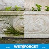 Wet & Forget Outdoor Moss, Mold, Mildew, & Algae Stain