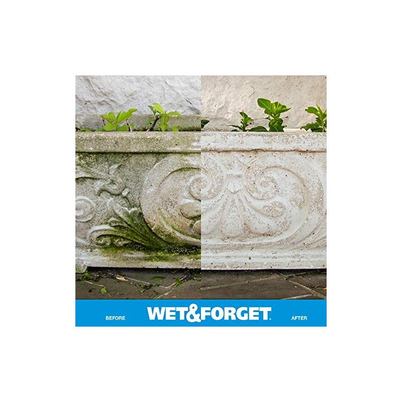 Wet & Forget Outdoor Moss, Mold, Mildew, & Algae Stain