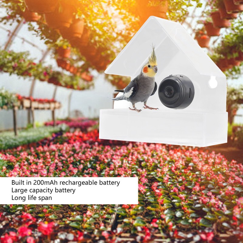 Camera Smart Bird Feeder 720HD Remote Connection Night Vision Clear