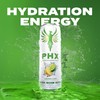 PHX Hydration Energy Drink - 700mg Electrolytes, 200mg Natural Green