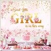 Large 7 x 5ft Girl Baby Shower Backdrop Banner -