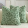 Yaertun Set of 2 Cushion Covers, Teddy Wool Faux Fur,