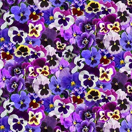 Elizabeth's Studio Lovely Pansies Purple/Multicolor Premium Quality 100% Cotton Fabric by 1/2 of a Yard.