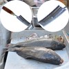 PRO FILSTAR Fish Scaler with Wooden Handle - Fish Scaler