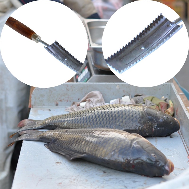 PRO FILSTAR Fish Scaler with Wooden Handle - Fish Scaler
