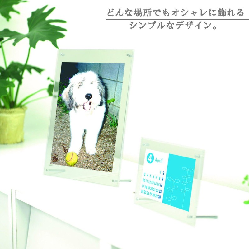 Velos PE-082S Clear Framing Award Plaque Transparent