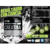 Holix Lab Creatina Monohidratada 500g 100 Serv. Creapure Sfn