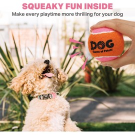 AMA SPORT Squeaky Tennis Balls for Dogs 2.0" Small Dog Tennis Balls for Throwing and Fetching Dog Toys for Training, Exercise, High Bouncing 4 Pack (Orange Pink)