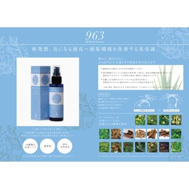 Japan Henna 963 Hair Retention 2.8 fl oz (80 ml)