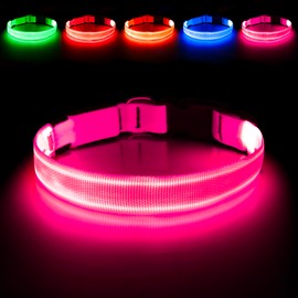 Illumifun LED Dog Collar | USB Rechargeable Light Up Dog Collar, Water-Resistant Adjustable Safety Collar Light for Small Medium Large Dogs Glow in The Dark (Pink, Small)