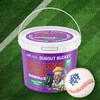 New Big League Chew Bubble Gum Dugout Bucket - 80