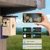 Birdhouse Camera with Solar Powered, HD Vision Camera Watch Bird