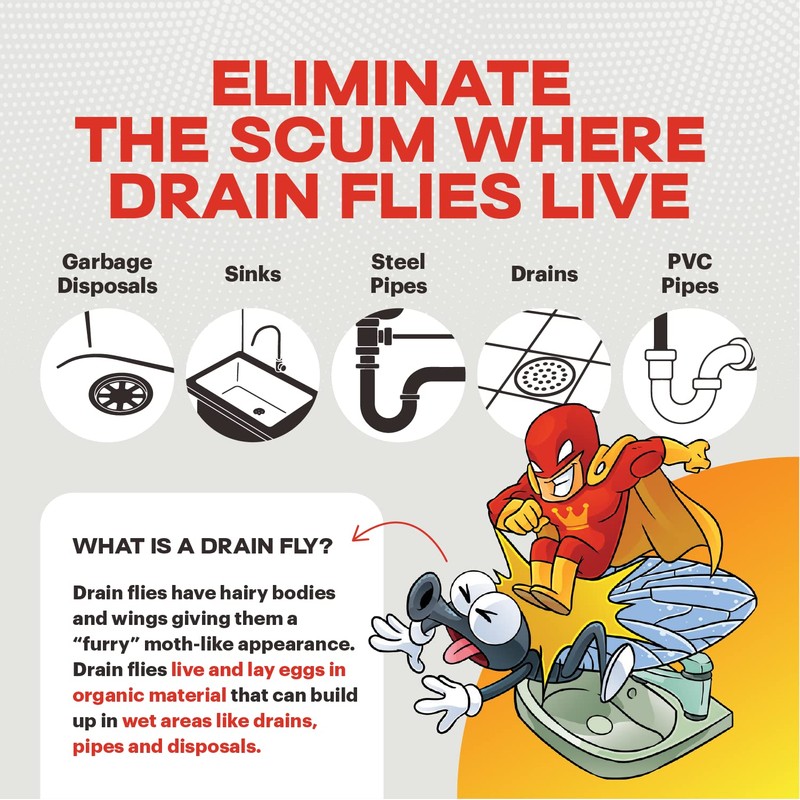 Scum King Drain Cleaner | Drain Cleaner | Remove Organic
