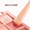 Laluna Makeup Brush, Makeup Brush, Portable Makeup Brush, Face Powder
