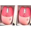 mofii 2x Wireless Compact Silent Mouse with Cute Cat Designs,