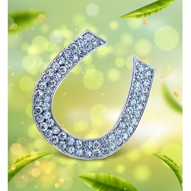 COTA Global Horseshoe Sparkling Refrigerator Magnet - Silver Sparkling Rhinestones Crystals, Cute Western Lucky Charm Magnet for Kitchen Fridge, Locker, Home Decor and Cool Office Novelty - 1.5 Inch