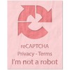 Stencil Stop Recaptcha I'm Not A Robot Stencil - Reusable