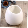 Totority 2pcs Hanging Ceramic Flowerpot for Wall Planters for Succulent