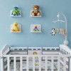 xozeooeu 6 Pcs Acrylic Floating Shelves, 5 Inch Wall Mounted