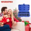 WORKPRO Torx Bit Socket Set, Premium S2 Bits & CR-V