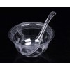 50 PCS Disposable Clear Plastic Asian Soup Spoons - Tasting