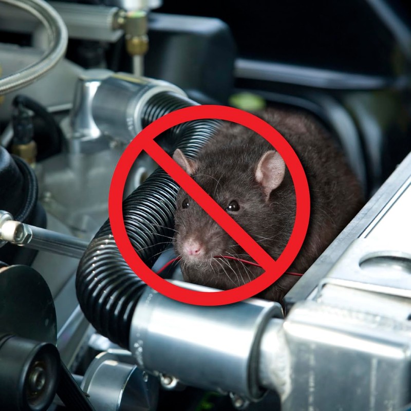 P3 P7825 Under Hood Animal Repeller - Ultrasonic Battery Powered