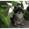 Distinctive Designs 6.25" Begging Raccoon Figurine - Cute Racoon Home