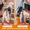 Dog Lift Harness for Large Dogs,Full Body Dog Sling Carrier