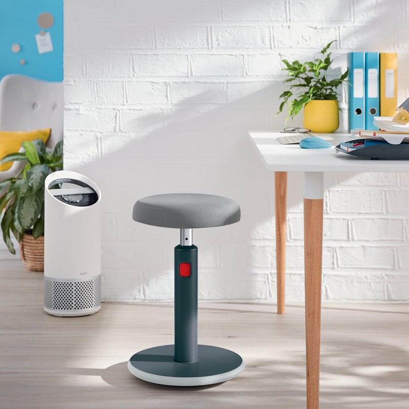 Leitz Ergo Cosy Active Sit Stand 2 in 1 Stool