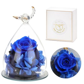Geburtstagsgeschenke für Frauen, konservierte, langlebige echte Blumen, Rosengeschenke in Glasfiguren mit Sternzeichen, Skorpion-Rosengeschenk für Mama, Oma, Ehefrau, Hochzeitstag für sie (Skorpion)