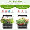 DRYADES Indoor Herb Garden Kit, Hydroponic Growing System with LED