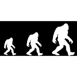 Bigfoot Sasquatch Decal Sticker Bumper Truck Van Car SUV Laptop Window Wall Cup Decal White Decal