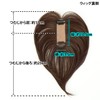 Gray Hair Concealing Wig Parting Type Light Gray Hair