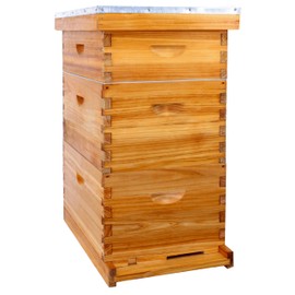 POLLIBEE Beehive- 8 Frame Bee Hive Starter kit, Beeswax Coated Hive for Bee Keeper, Langstroth Bee Hives Include 2 Deep and 1 Medium Bee Box with Bee Frames and Foundation(Unassembled)