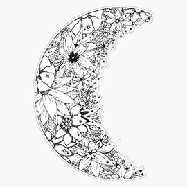 EB Store Crescent Moon Vinyl Waterproof Sticker Decal Car Laptop Wall Window Bumper Sticker 5 inch
