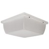 Solus Guardian Square Outdoor Wall or Ceiling Mount Light Fixture