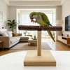Bird Perch Stand Portable Training Parrot Playstand Parrot Cage Toy