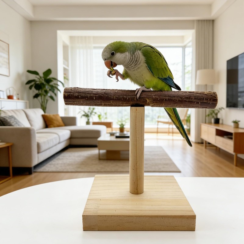 Bird Perch Stand Portable Training Parrot Playstand Parrot Cage Toy